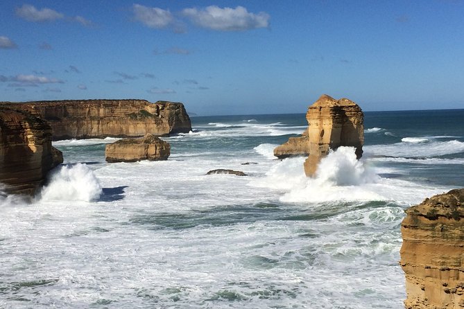 [PRIVATE TOUR] Express Great Ocean Road | Day Trip - Wildlife spotting and photo timing in a moving day
