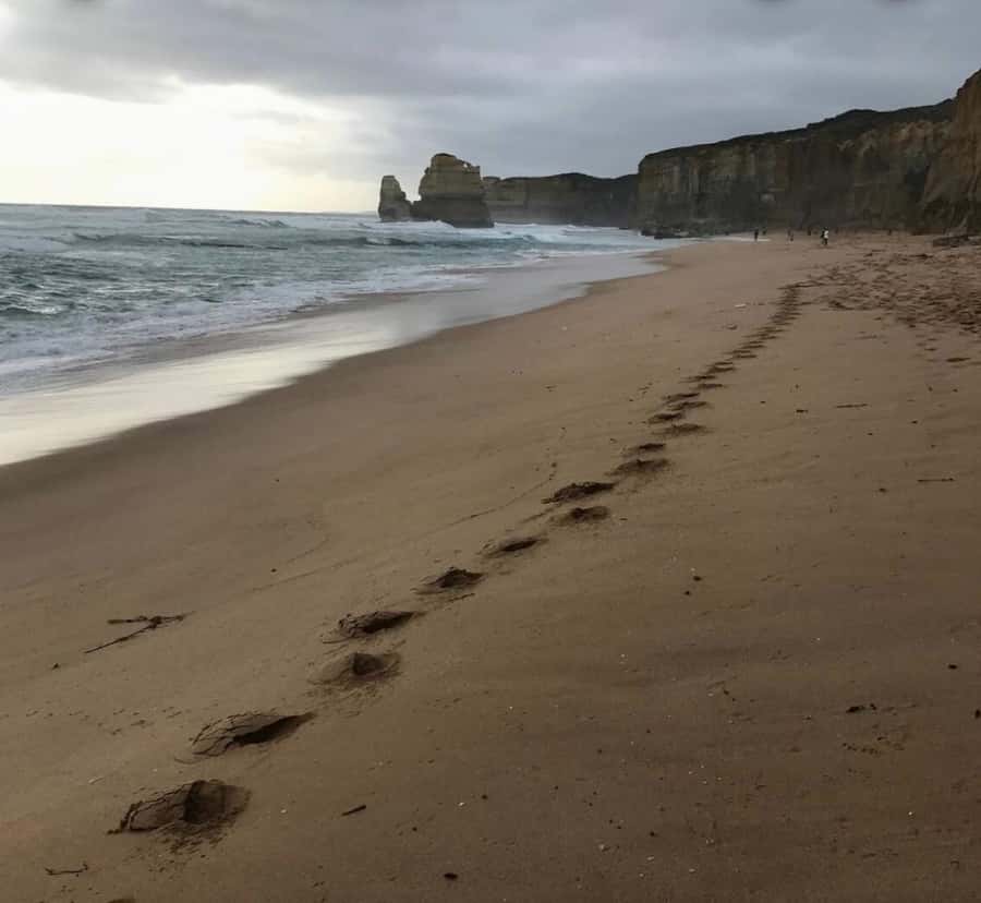 Private Tour: Great Ocean Road - Twelve Apostles - Why the private guide experience matters more than you think