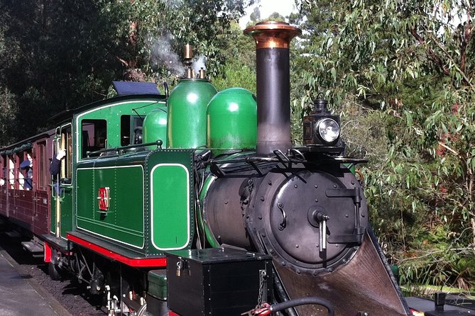 [Private Tour] Healesville Sanctuary Wildlife & Puffing Billy Steam Train - Languages, group size, and why private feels different here