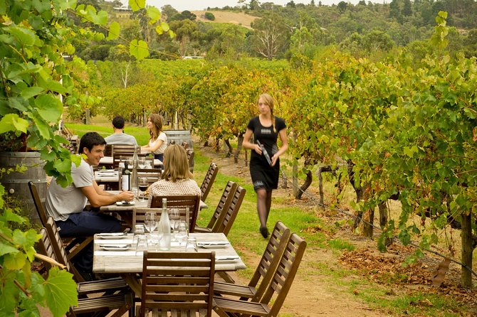 [PRIVATE TOUR] Mornington Peninsula Hot Springs | Winery & Sightseeing Tour - Mornington Peninsula, a fast escape with real atmosphere