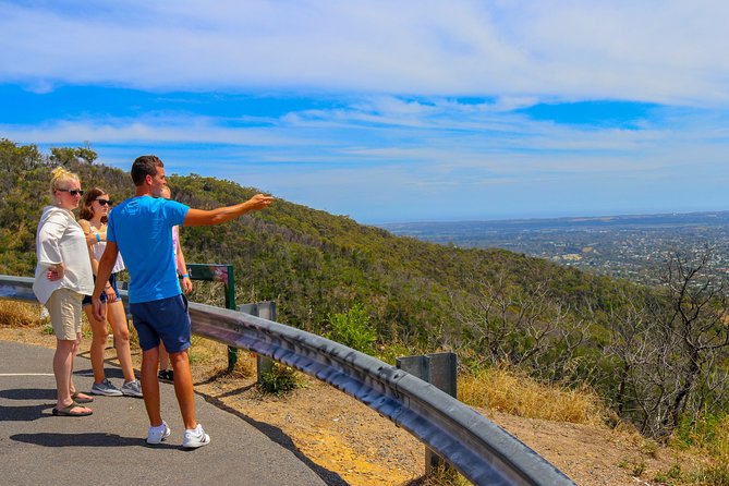 [PRIVATE TOUR] Mornington Peninsula Hot Springs | Winery & Sightseeing Tour - Who should book this Mornington Peninsula hot springs and winery day?