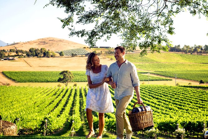 [PRIVATE TOUR] Mornington Peninsula Hot Springs | Winery & Sightseeing Tour - Should you book? My practical take