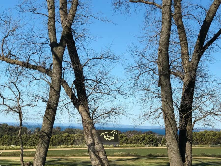 Private Tour: Mornington Peninsula Wine, Beer & Hotsprings - Key highlights at a glance