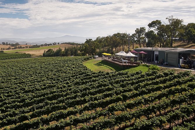 Private Tour: Yarra Valley Wineries with Wine Tastings - Getting the Logistics Right: Pickup, Timing, Alcohol Rules, and Comfort