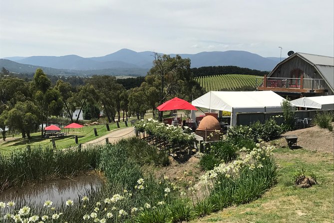 [PRIVATE TOUR] Yarra Valley Winery | Day Tour - Key highlights worth planning around