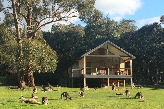 [PRIVATE TOUR] Yarra Valley Winery | Day Tour - Yarra Valley first: using the long stretch well
