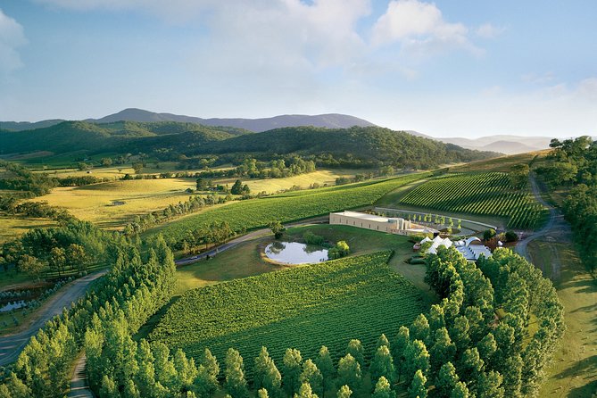 [PRIVATE TOUR] Yarra Valley Winery | Day Tour - Soumah: Italian-style winemaking and a different flavor story