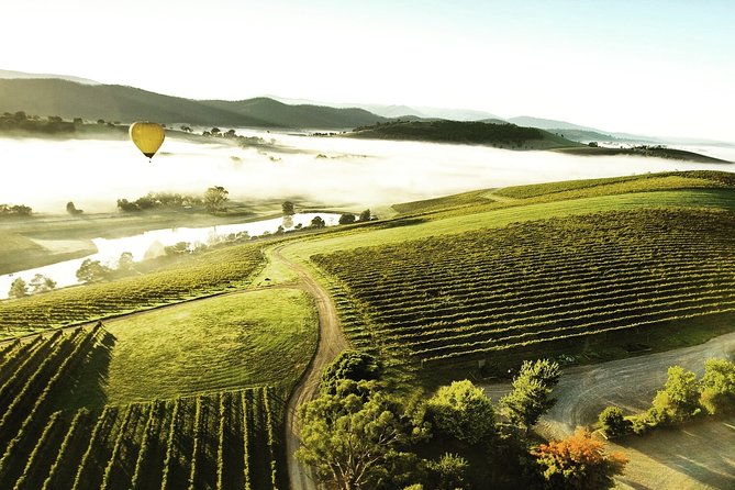[PRIVATE TOUR] Yarra Valley Winery | Day Tour - Four Pillars Distillery: gin adds contrast and a fun finish