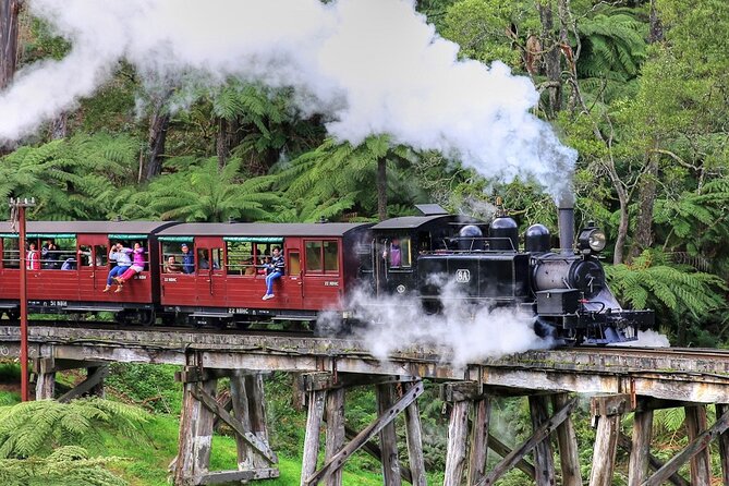 Puffing Billy And Healesville Sanctuary Scenic Tour - Key things I’d plan around