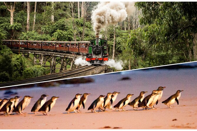 Puffing Billy and Penguin Parade Day Tour From Melbourne - Why this Melbourne day tour feels like smart sightseeing