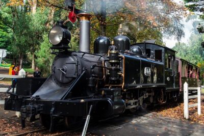 Puffing Billy And Phillip Island Penguin Parade Bus Tour - Puffing Billy at Emerald Lake Park: steam, scenery, and a train-with-attitude feel