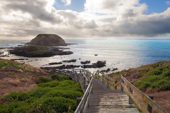 Puffing Billy And Phillip Island Penguin Parade Bus Tour - Comfort and what to pack for an 11-hour circuit