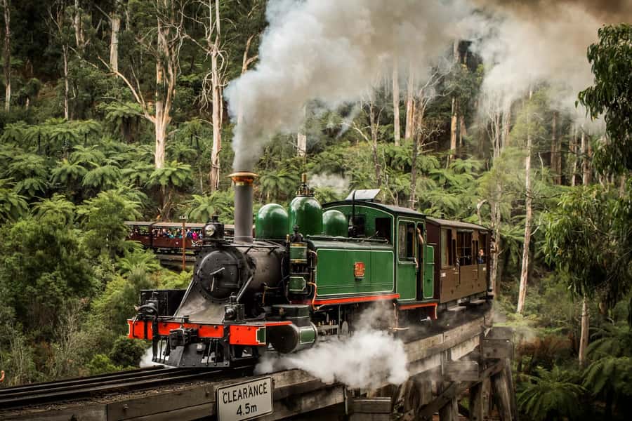Puffing Billy Penguin Parade Winery Chocolaterie All-in-One - How This 13-Hour Day Strings Together Victoria’s Best Hits