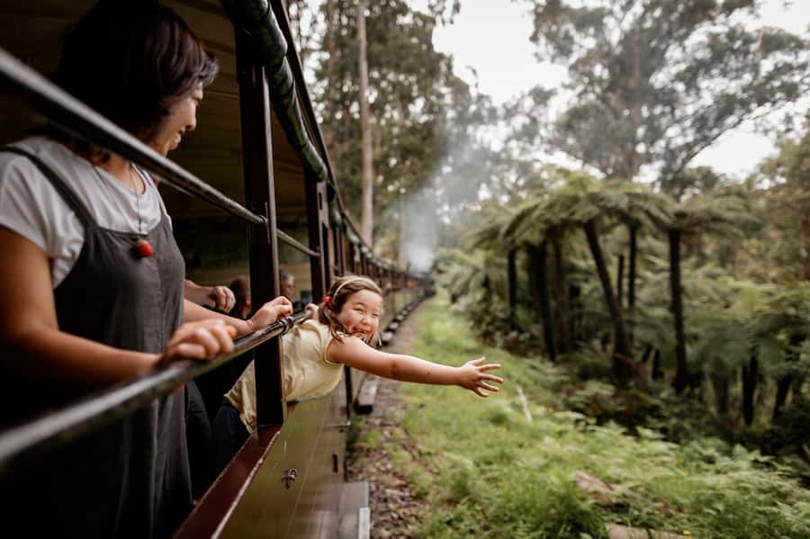 Puffing Billy Railway: Heritage Steam Train Journey - Key Points You Should Know Before You Go