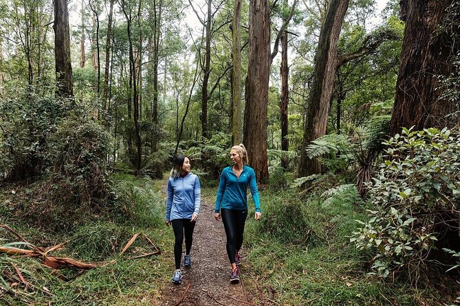 Puffing Billy & Rainforest Tour from Melbourne - A half-day steam-train escape with transfers included