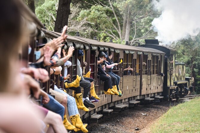 Puffing Billy Steam Train and Penguins Wildlife Tour - Key Things I’d Circle Before You Book
