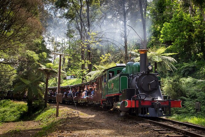 Puffing Billy Steam Train and Penguins Wildlife Tour - Getting From Melbourne: Pickup, Timing, and Group Size