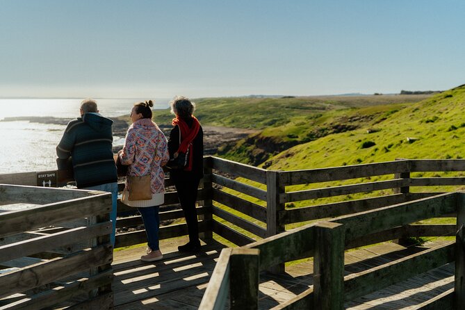Puffing Billy Steam Train and Penguins Wildlife Tour - Phillip Island Penguin Parade: Where the Timing Really Counts