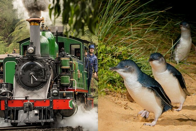 Puffing Billy Tour and Penguin Parade from Melbourne - Key Points You’ll Care About