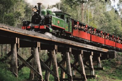 Puffing Billy Train and Phillip Island Penguin Parade Day Tour - Maru Koala and Animal Park: The Add-On You Can Skip