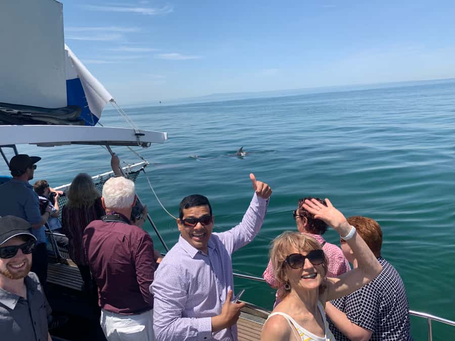 Queenscliff: 1.5hr Harbour Wildlife Sightseeing Cruise Tour - Queenscliff Harbour and the Maureen M: your first taste of the trip