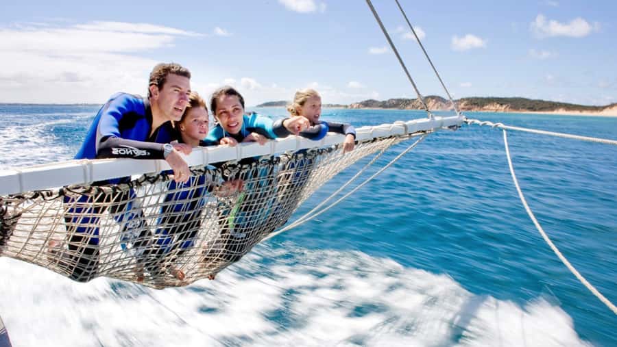 Queenscliff Harbour: 3.5hr Seal & Dolphin Snorkelling Tour - Key things to know before you go