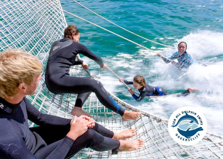 Queenscliff Harbour: 3.5hr Seal & Dolphin Snorkelling Tour - Dolphin search rules: how to manage expectations (and still enjoy it)
