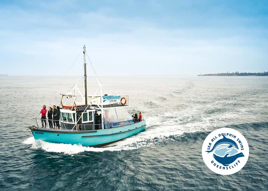 Queenscliff Harbour: 3.5hr Seal & Dolphin Snorkelling Tour - Onboard rooftop views, hammocks, and real explanations