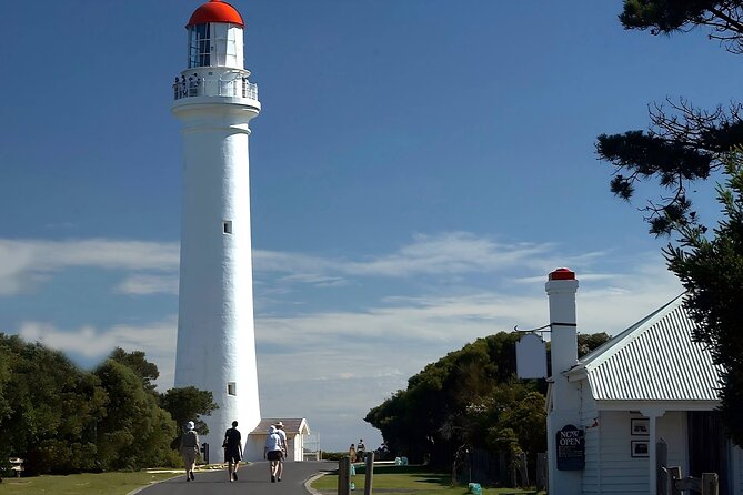 Reimagined Great Ocean Road 1-Day Tour from Melbourne - Great Otway National Park: eucalyptus scent and koala-spotting odds