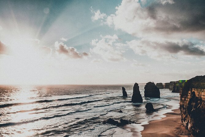 Scenic Great Ocean Road Discovery Tour - Iconic Coastal Wonders - Barham Paradise S.R. and koalas: a wildlife moment without the hike