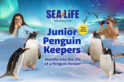 SEA LIFE Melbourne Aquarium Admission Ticket - Your 90-minute self-guided route: how to plan your walk