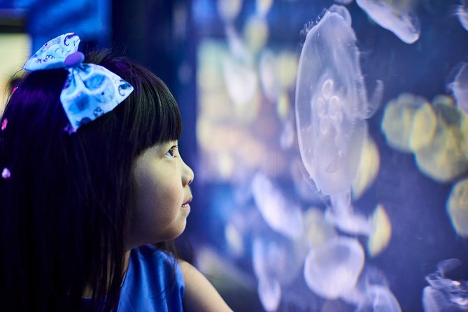 SEA LIFE Melbourne Aquarium Admission Ticket - Big-creature territory: 5.5m saltwater crocodile and shark-and-ray viewing