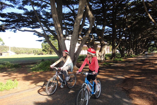 Self-Guided Point Nepean National Park Bike Hire - Coles Track to Observatory Point: coastline riding with wildlife timing