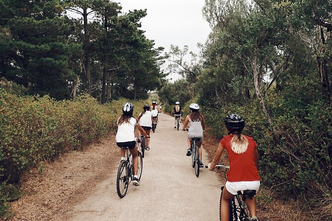 Self-Guided Point Nepean National Park Bike Hire - Fort Nepean: defensive tunnels and the entrance to Port Phillip Bay