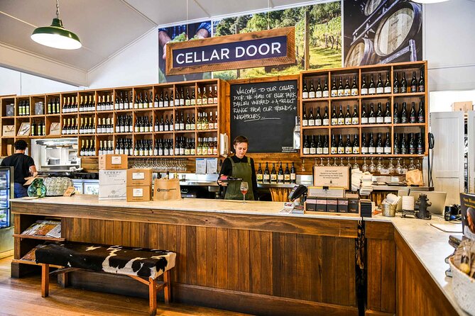 Shore Excursion Melbourne, Sights, Kangaroos, Koalas Lunch & Wine - What to Expect in Real Time (And What to Plan for)