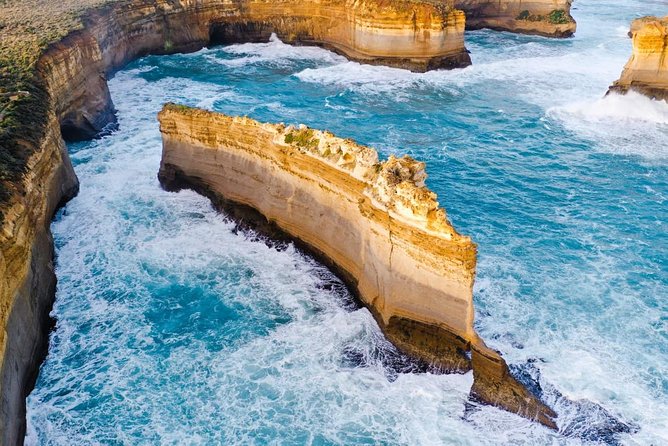 Small-Group Great Ocean Road Day Trip from Melbourne - Stop 2: Great Otway National Park and Great Ocean Road Ecolodge (30 Minutes)