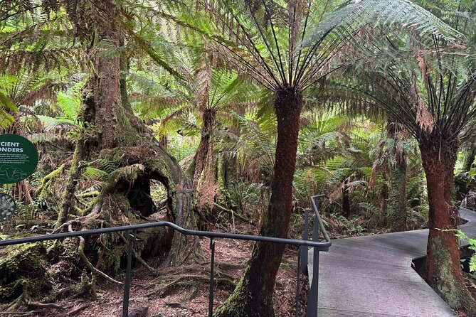Small group Great Ocean Road Reverse & Wildlife spotting - Loch Ard Gorge at 9:45: scenery plus the Tom and Eva story