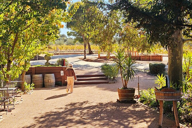Small-Group Murray River Adventure - Paddle Steamer & Wildlife - Echuca: stepping into a 19th-century riverside port town