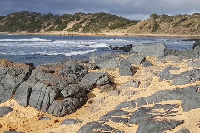 Small Group Personalised Private Tours Melbourne (up to 14 pax) - Timing, tickets, and practical tips that save your day