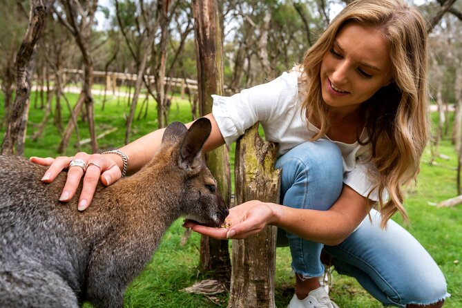Small Group: Ultimate Mornington Peninsula Food and Wine Day - Lunch at the Winery: Seasonal Produce Plus Wine That Belongs