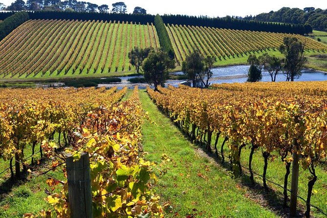 Small Group: Ultimate Mornington Peninsula Food and Wine Day - Price and Value: Is $193.66 Reasonable?