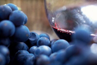 Small Group: Ultimate Yarra Valley Food and Wine - What You Actually Eat and Drink: Two-Course Lunch, Cheese, and Oysters