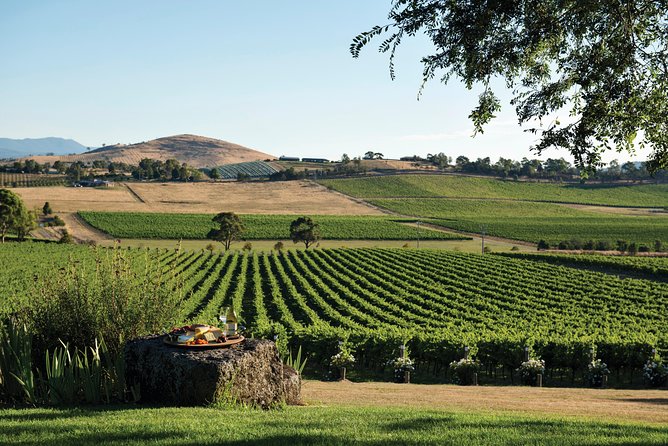 Small Group: Ultimate Yarra Valley Food and Wine - Who Should Book This Yarra Valley Food and Wine Day