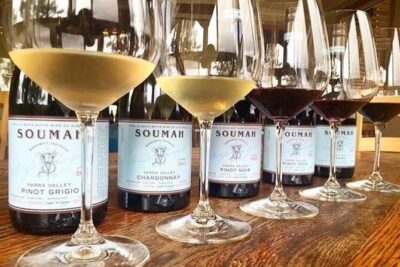 Small Group Yarra Valley: Redwoods Forest & Premium Wine Tour - Why the small-group size matters on a long day