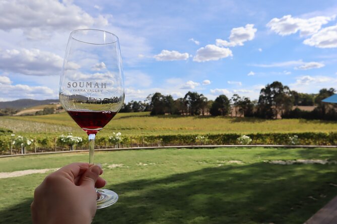 Small Group Yarra Valley: Redwoods Forest & Premium Wine Tour - Price and what you truly get for $132.69