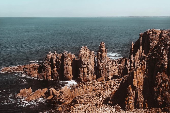 Small Tour (8 ppl) Phillip Island Hike & Penguin Parade Day Tour - Key things I’d bank on before you go