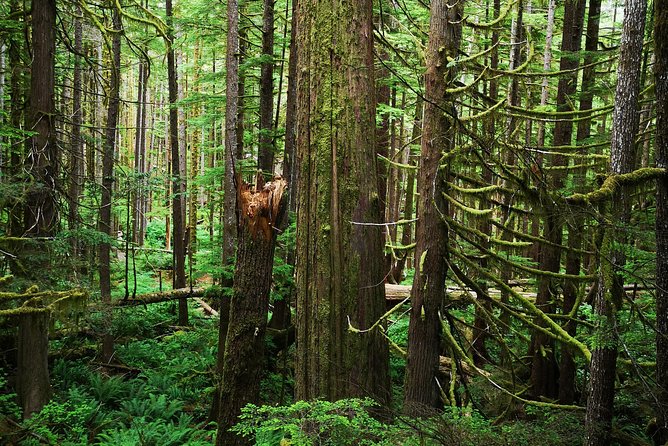 Sooke to Port Renfrew: Wild Pacific Adventure - Pickup, Private Vehicle, and the Meaning of 8.5 Hours