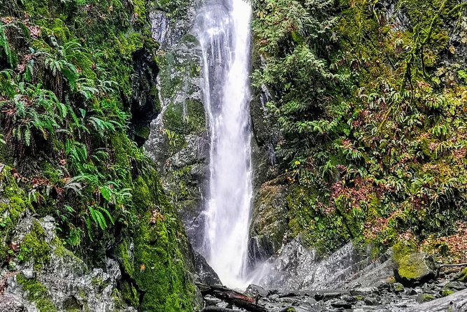 Sooke to Port Renfrew: Wild Pacific Adventure - Juan de Fuca Provincial Park Stops: Jordan River for Photos, Then French Beach
