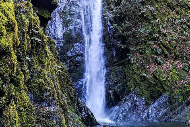 Sooke to Port Renfrew: Wild Pacific Adventure - Port Renfrew Community Centre: The Long Coast Block That Makes the Day Feel Worth It