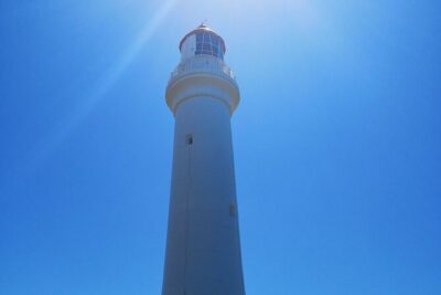 Split Point Lighthouse Tours - Choosing your time slot: late morning to early afternoon departures